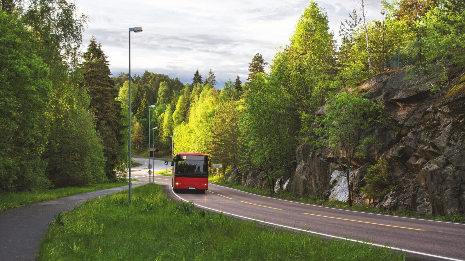 Red bus in the road of Norway and green forest at sides